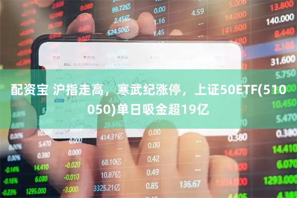 配资宝 沪指走高，寒武纪涨停，上证50ETF(510050)单日吸金超19亿
