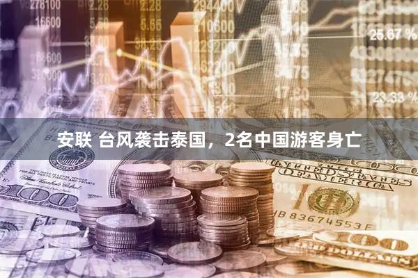 安联 台风袭击泰国，2名中国游客身亡