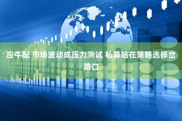 应牛配 市场波动成压力测试 私募站在策略选择岔路口