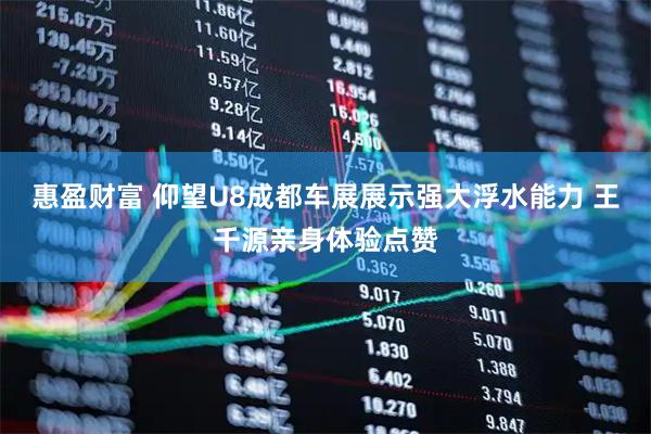 惠盈财富 仰望U8成都车展展示强大浮水能力 王千源亲身体验点赞
